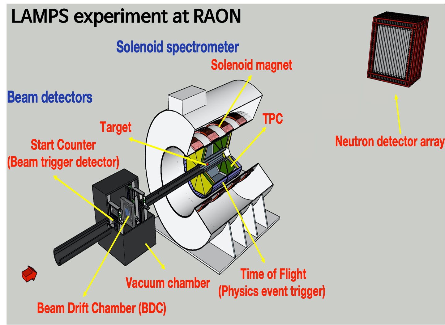 LAMPS detector at RAON